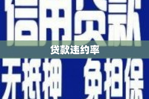 桓台贷款违约率