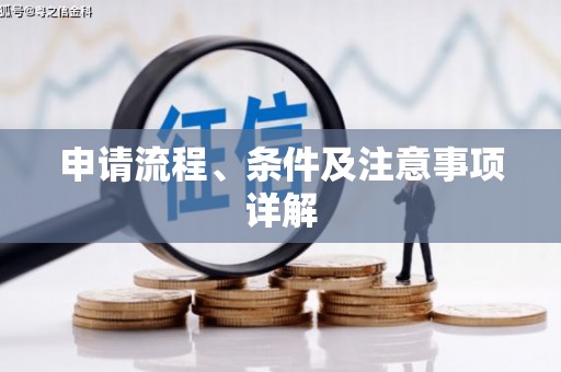 桓台申请流程、条件及注意事项详解