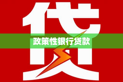 桓台政策性银行贷款