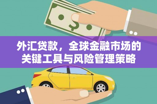 桓台外汇贷款，全球金融市场的关键工具与风险管理策略