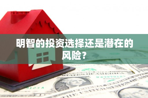 桓台明智的投资选择还是潜在的风险？