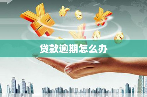 桓台贷款逾期怎么办