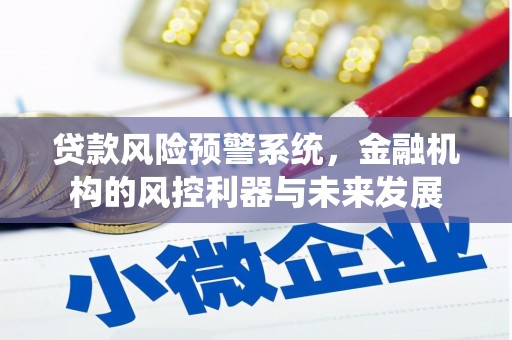 桓台贷款风险预警系统，金融机构的风控利器与未来发展