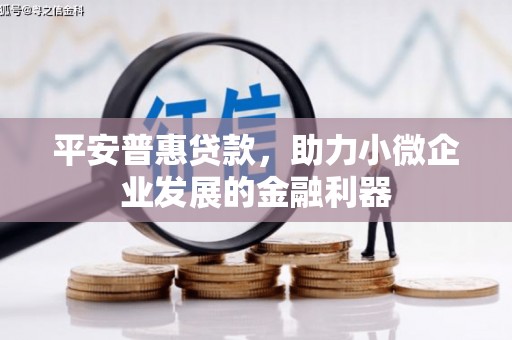 桓台平安普惠贷款，助力小微企业发展的金融利器