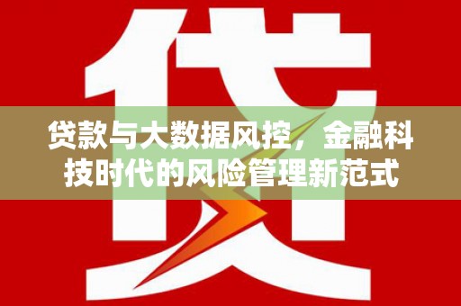 桓台贷款与大数据风控，金融科技时代的风险管理新范式