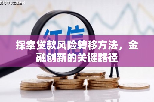 桓台探索贷款风险转移方法，金融创新的关键路径