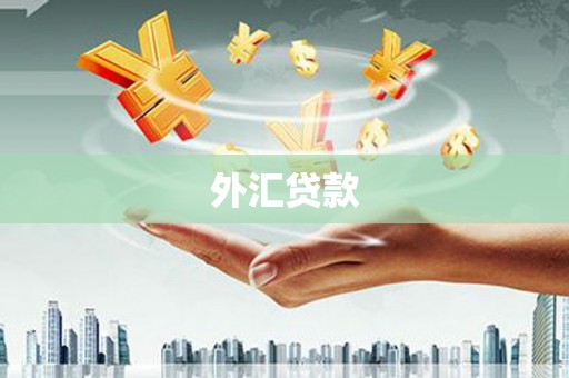 桓台外汇贷款