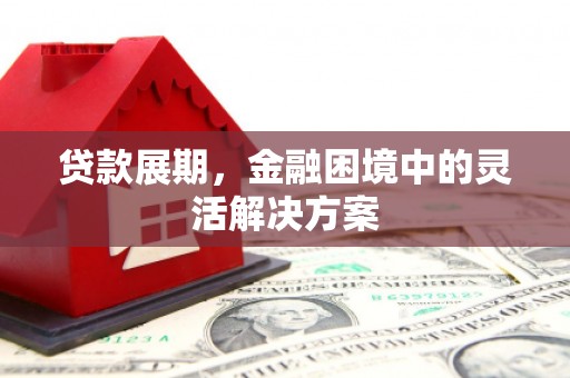 桓台贷款展期，金融困境中的灵活解决方案