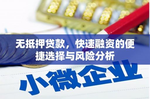 桓台无抵押贷款，快速融资的便捷选择与风险分析
