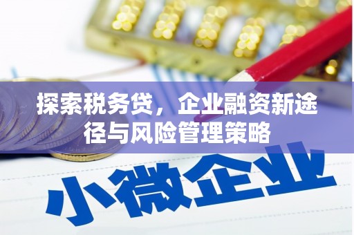 桓台探索税务贷，企业融资新途径与风险管理策略