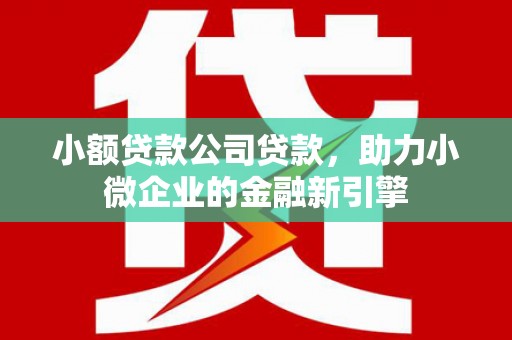 桓台小额贷款公司贷款，助力小微企业的金融新引擎