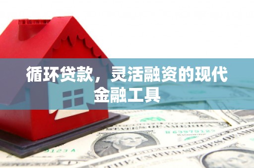 桓台循环贷款，灵活融资的现代金融工具