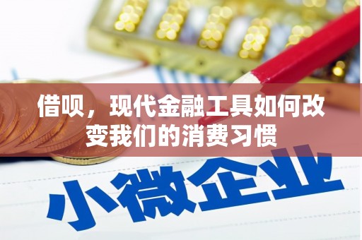 桓台借呗，现代金融工具如何改变我们的消费习惯
