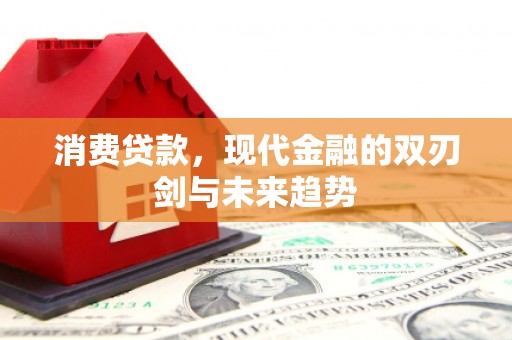 桓台消费贷款，现代金融的双刃剑与未来趋势