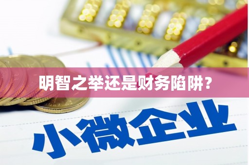 桓台明智之举还是财务陷阱？
