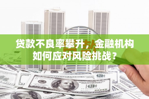 桓台贷款不良率攀升，金融机构如何应对风险挑战？
