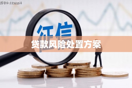 桓台贷款风险处置方案