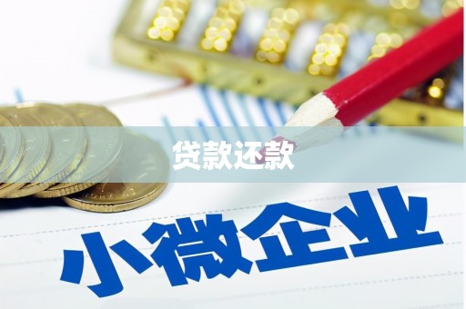 桓台贷款还款