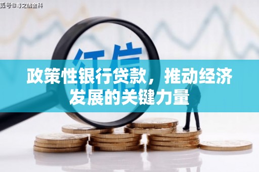 桓台政策性银行贷款，推动经济发展的关键力量