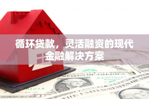 桓台循环贷款，灵活融资的现代金融解决方案