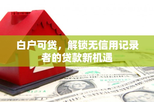 桓台白户可贷，解锁无信用记录者的贷款新机遇