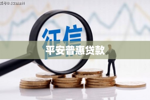 桓台平安普惠贷款