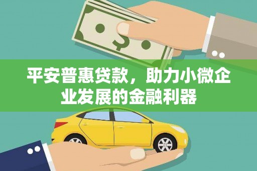桓台平安普惠贷款，助力小微企业发展的金融利器