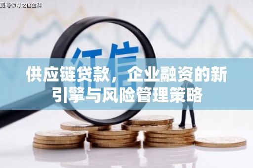 桓台供应链贷款，企业融资的新引擎与风险管理策略