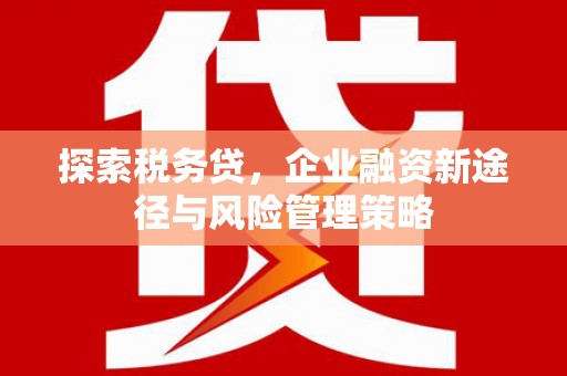 桓台探索税务贷，企业融资新途径与风险管理策略