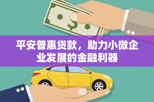 桓台平安普惠贷款，助力小微企业发展的金融利器