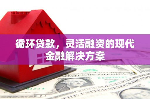 桓台循环贷款，灵活融资的现代金融解决方案