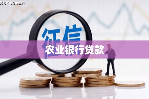 桓台农业银行贷款
