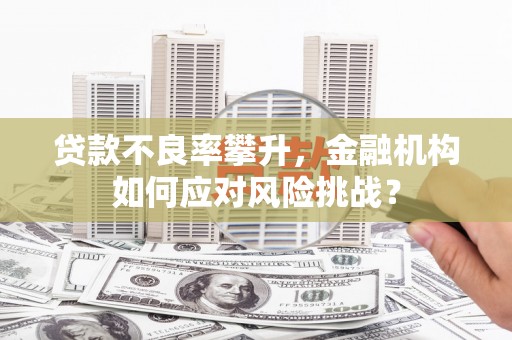 桓台贷款不良率攀升，金融机构如何应对风险挑战？