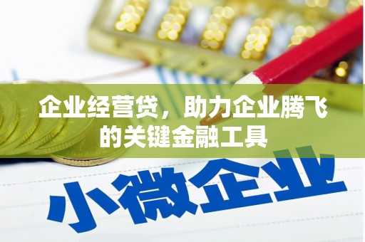 桓台企业经营贷，助力企业腾飞的关键金融工具