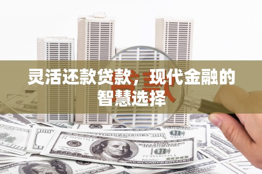 桓台灵活还款贷款，现代金融的智慧选择