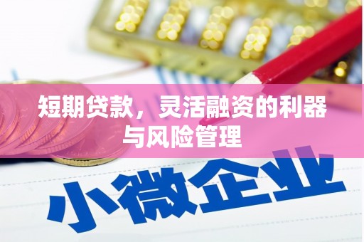 桓台短期贷款，灵活融资的利器与风险管理