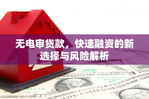 桓台无电审贷款，快速融资的新选择与风险解析