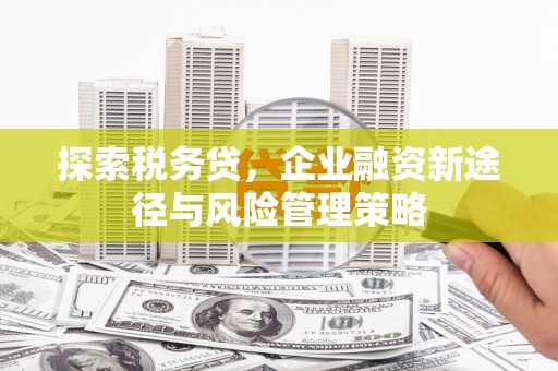 桓台探索税务贷，企业融资新途径与风险管理策略