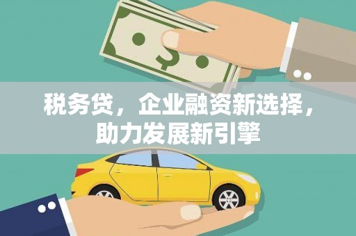 桓台税务贷，企业融资新选择，助力发展新引擎