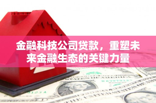 桓台金融科技公司贷款，重塑未来金融生态的关键力量