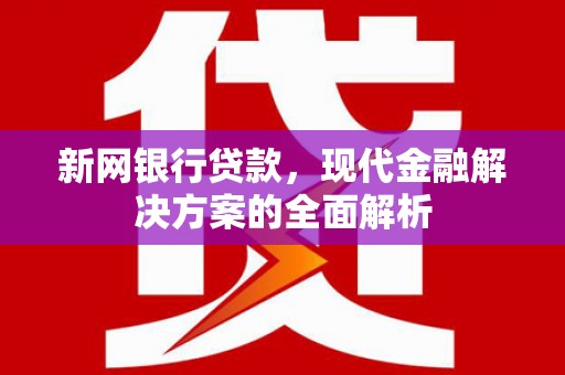桓台新网银行贷款，现代金融解决方案的全面解析