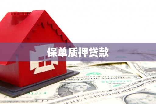 桓台保单质押贷款
