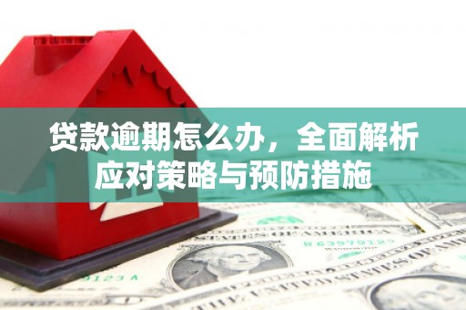 桓台贷款逾期怎么办，全面解析应对策略与预防措施