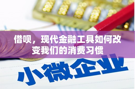 桓台借呗，现代金融工具如何改变我们的消费习惯
