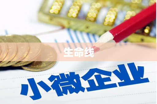 桓台生命线