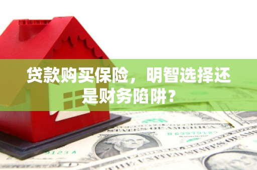 桓台贷款购买保险，明智选择还是财务陷阱？