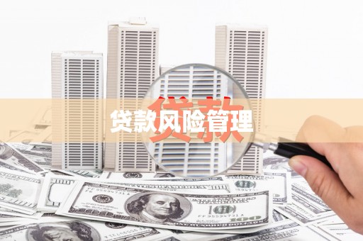 桓台贷款风险管理