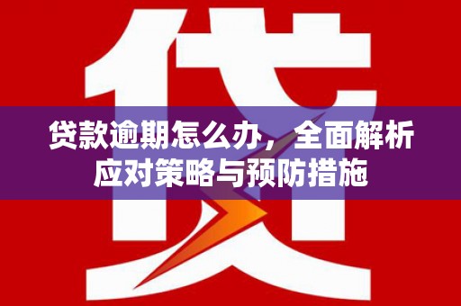 桓台贷款逾期怎么办，全面解析应对策略与预防措施