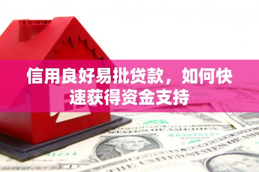 桓台信用良好易批贷款，如何快速获得资金支持