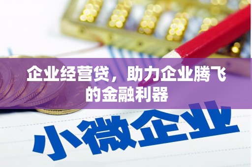 桓台企业经营贷，助力企业腾飞的金融利器